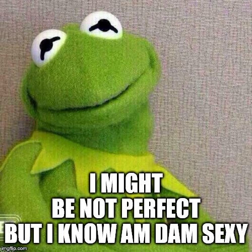 I might be not perfect Imgflip