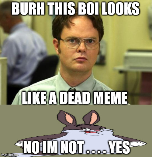 Dwight Schrute Meme Imgflip