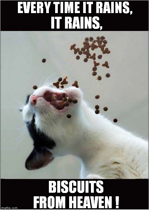 Biscuits From Heaven Imgflip