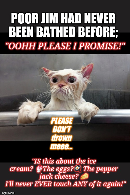 startled shower cat Memes Imgflip