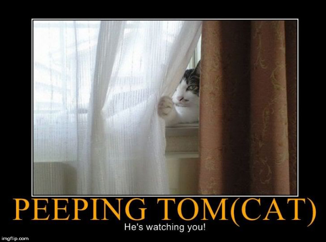 I got my eye on you. Imgflip