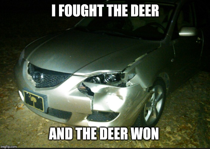 Hitting a deer is no joke!!! Imgflip