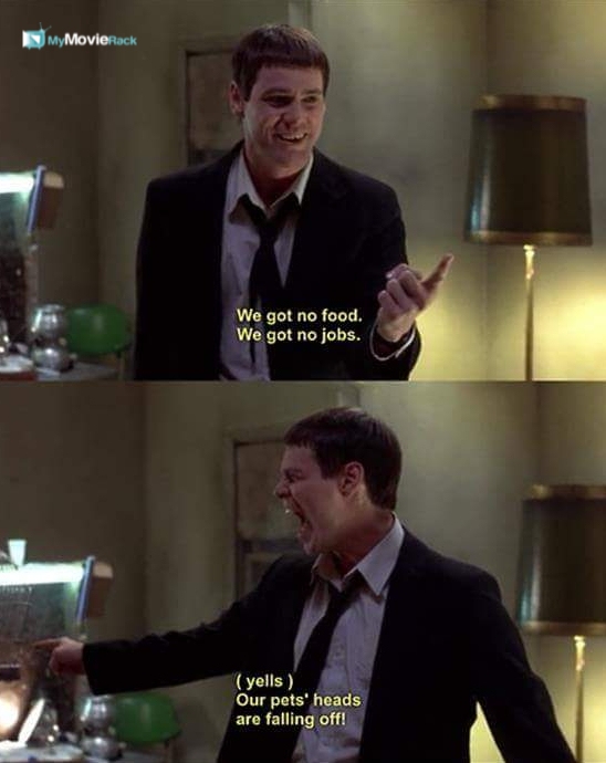 Pets Heads are Falling Off Blank Template Imgflip