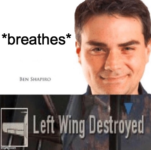 LEFT WING DESTROYED Imgflip