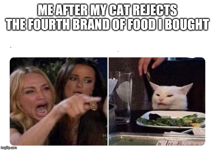 Housewives cat Imgflip