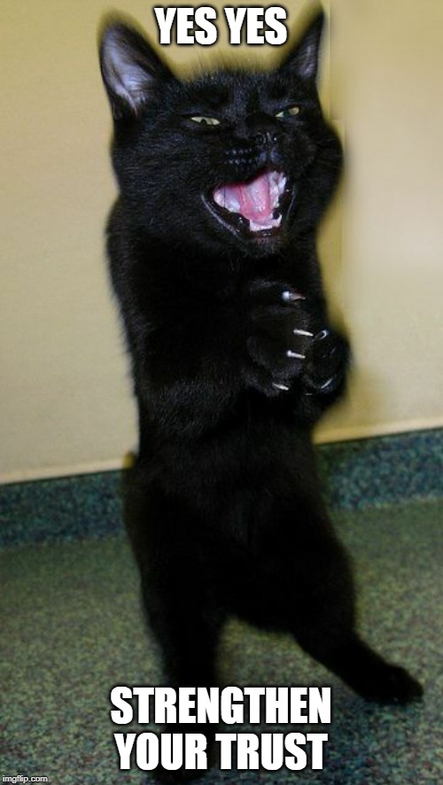 Cat Lick Meme jbalazsdesigns