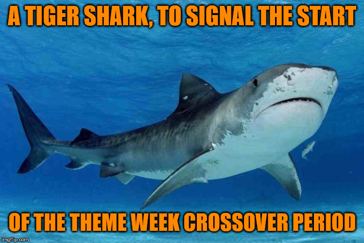 Crossover time! Shark Week, a Raydog event, and Tiger Week 3, a
