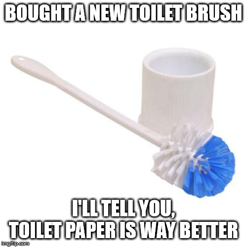 toilet brush Memes Imgflip