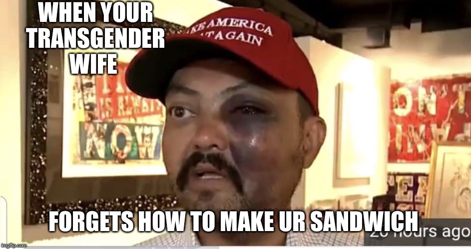 Image tagged in transgender,transgender bathroom,sandwich maker,funny