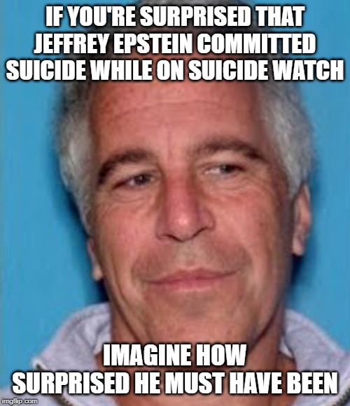 Epstein mugshot Imgflip