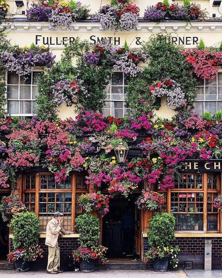 Kensington Arms Blank Template Imgflip