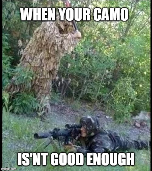Image tagged in camouflage,camo,funny,memes Imgflip