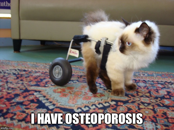 I Have Osteoporosis Imgflip