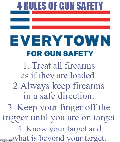 Image tagged in gun safety rules Imgflip