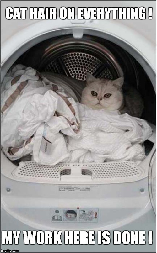 Watch your Dryer ! Imgflip