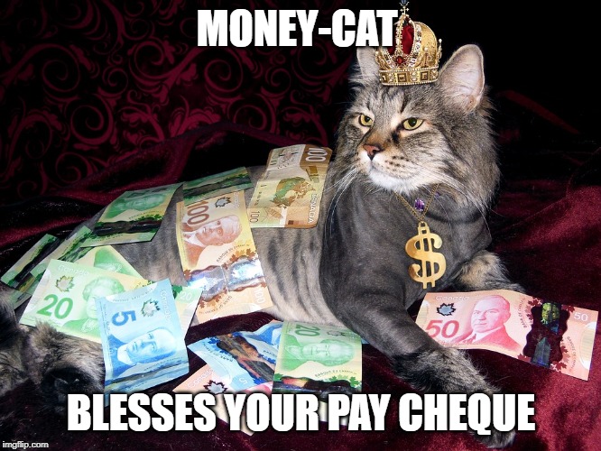 Image tagged in money,cat,canadian,paycheque,blessings Imgflip