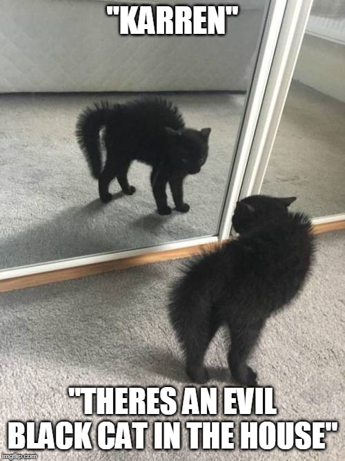 BLACK CAT Imgflip