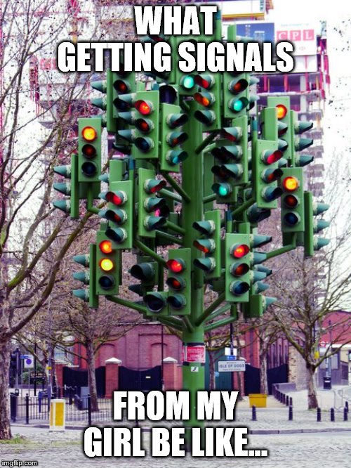 Traffic Light tree Imgflip