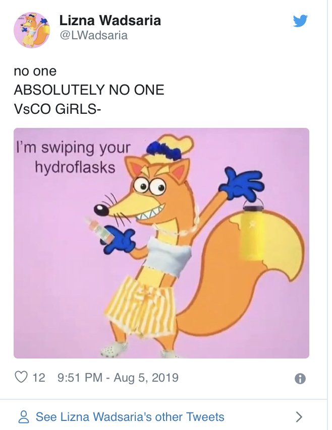 the Vsco girls are rising Blank Template Imgflip