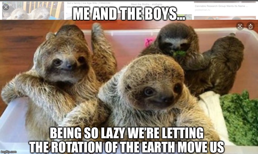 Sid The Sloth Meme They Do This Every Year