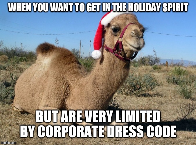 Image tagged in christmas camel Imgflip