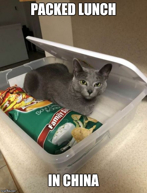 UNDERCOOKED A BIT Imgflip