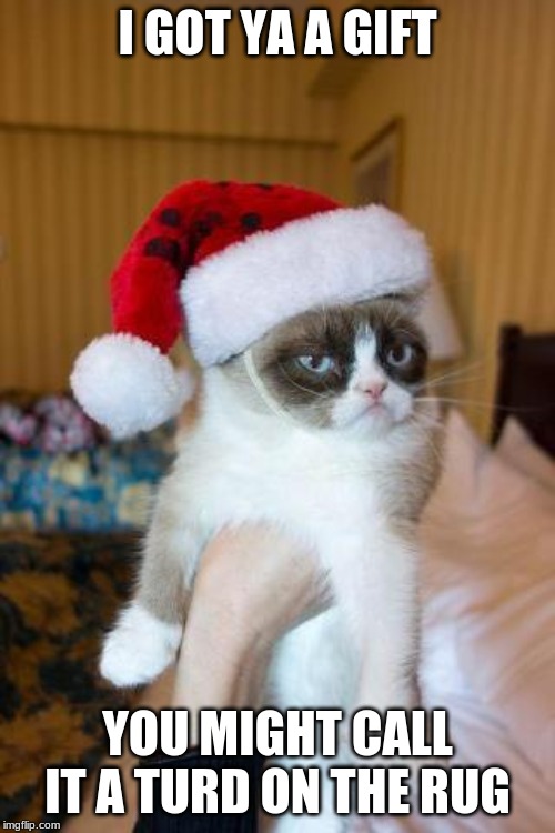 Grumpy Cat Christmas 2024 Memes Grumpy Cat Christmas Meme Imgflip
