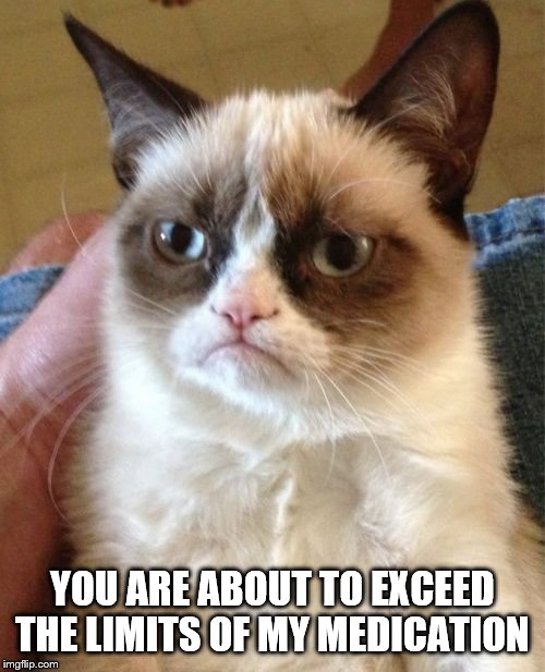 Grumpy Cat Meme Imgflip