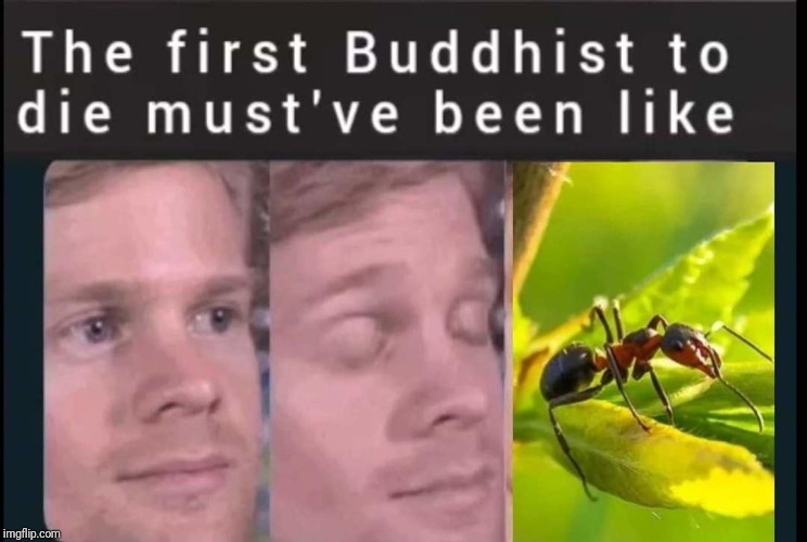 Blinking Guy Meme format Imgflip