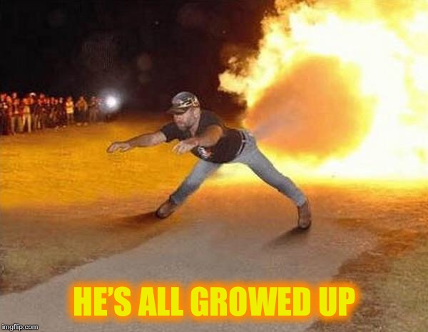 BEANS Imgflip