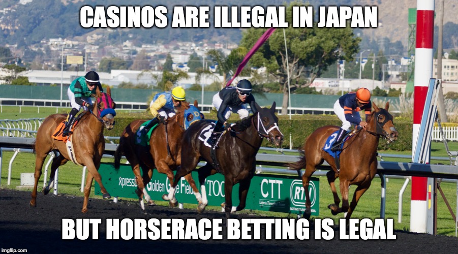 Horse Racing Imgflip