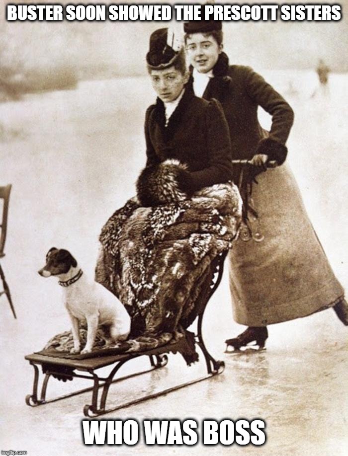 Punstream Memes & GIFs Imgflip