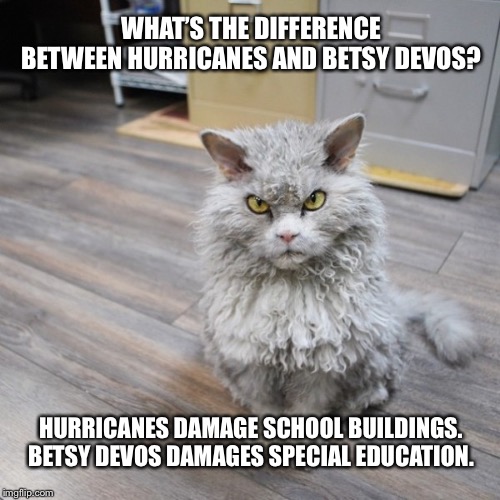 Just waiting for a hurricane to be named after Betsy DeVos Imgflip