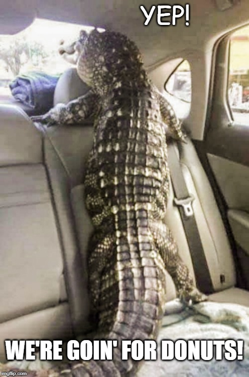 We're Goin' For Donuts! Imgflip