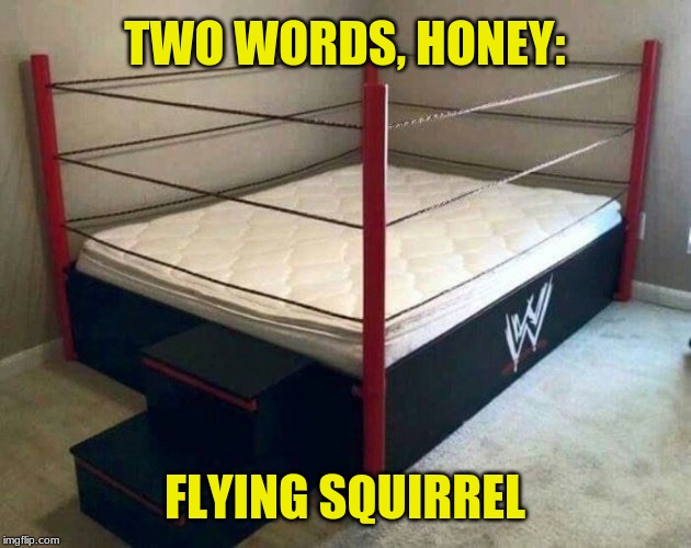 wwe Memes & GIFs Imgflip