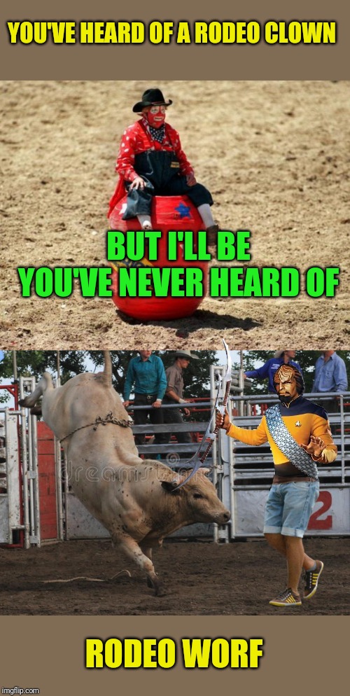 rodeo Memes & GIFs Imgflip