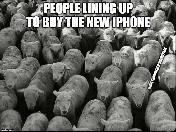 BaAaAah! Imgflip