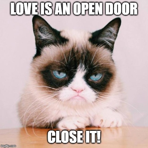 Grumpy Cat Love Is An Open Door Close It Cat Lovster
