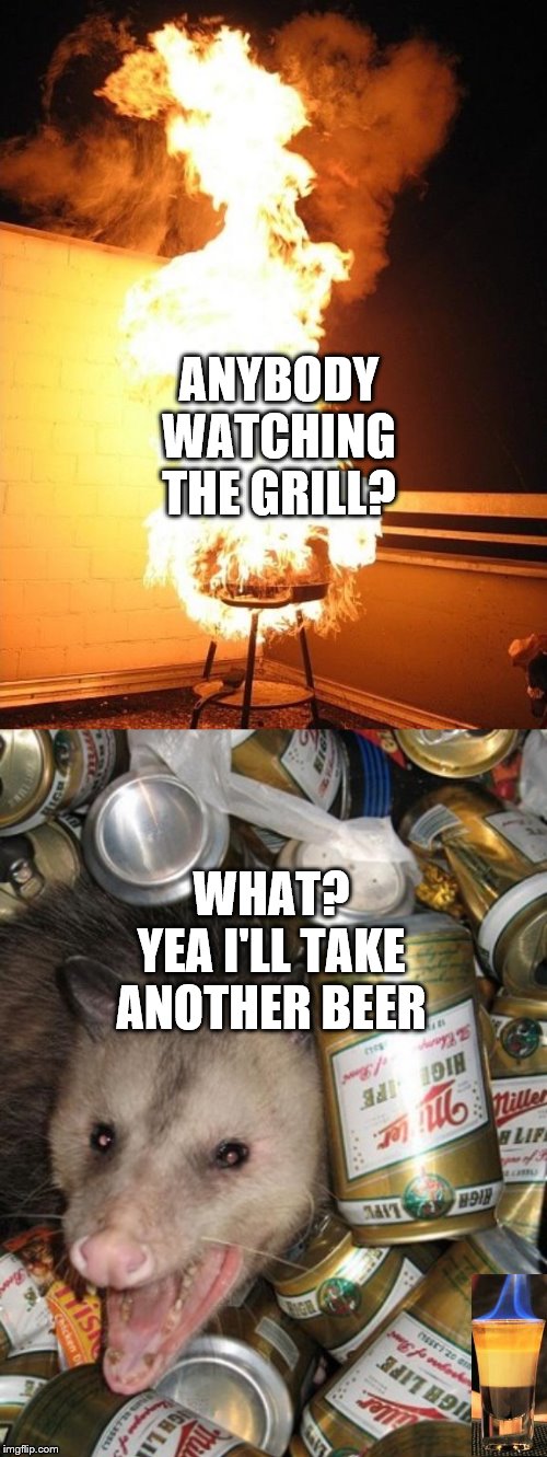 possum Memes & GIFs Imgflip