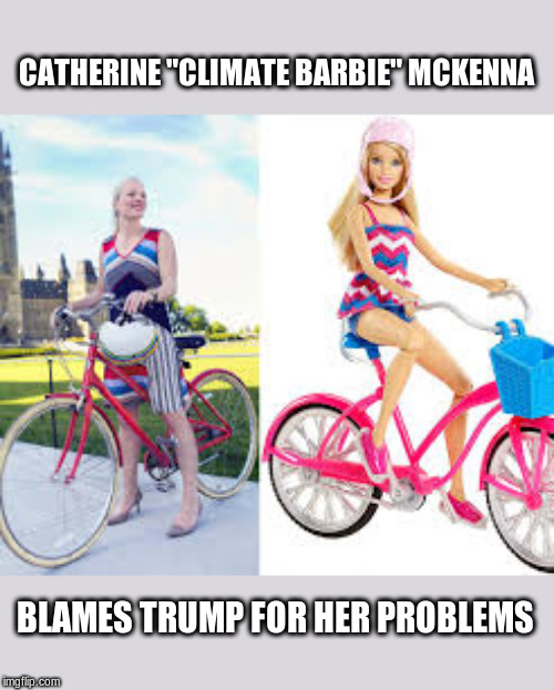 Environment Minister Catherine McKenna Imgflip