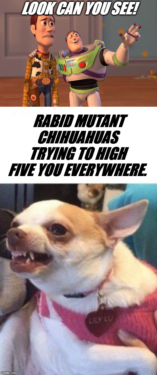 Chihuahua Angry Happy Meme Cenfesse