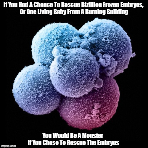 "If You Had A Chance To Rescue Bizillion Frozen Embryos Or One Living