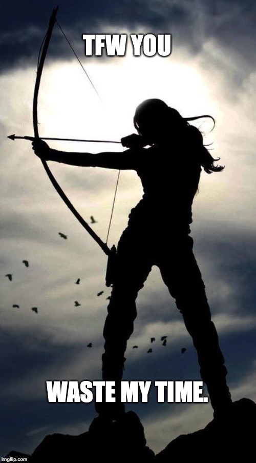 Archery Memes Imgflip