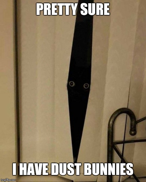 MY HOUSE HAS DUST BUNNIES Imgflip