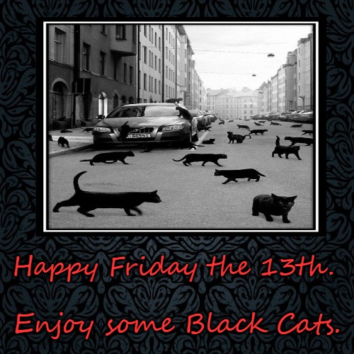 Happy Friday The 13th Cat