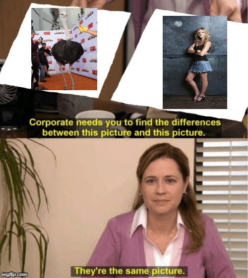 They're The Same Picture Latest Memes Imgflip