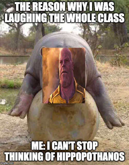 Happy hippo Imgflip