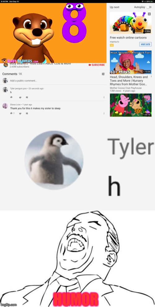 humor ( ^ω^ ) Imgflip