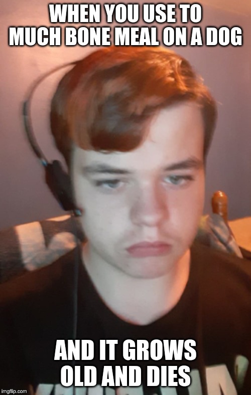 Image tagged in minecraft Imgflip