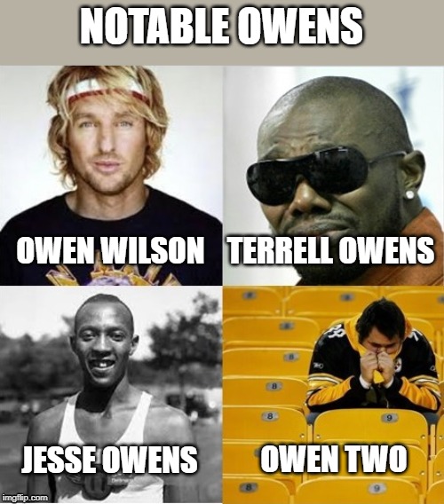 Image tagged in nfl,nfl football,pittsburgh steelers,owens,notable